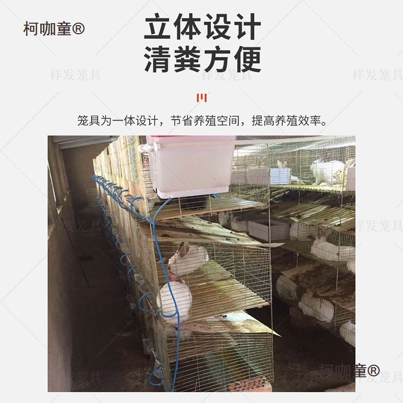 兔笼子家用新型式自动清粪养殖专用子母兔子笼子超大号繁殖麦太保