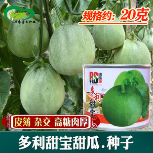 ����������ϷN���r��ˈ@���������S�GƤ���������ˮ����