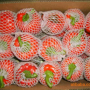 ���r��ʽ����Y�|���S������ӹ���