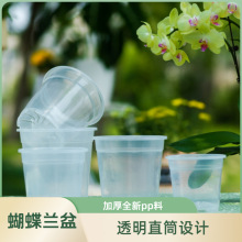 天津嘉利花盆全新pp塑料蝴蝶兰专用盆家居阳台观根加厚透明花盆