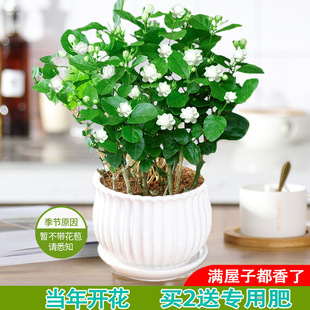 ���������ذ껨������͎������҃��̨���B�^��ֲ���ļ��_����