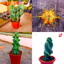 ����ľ ����� ������ �����L ������ ������ ���B�����򻨻�����