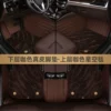 Genuine leather floor mats coffee color + coffee starry sky blanket