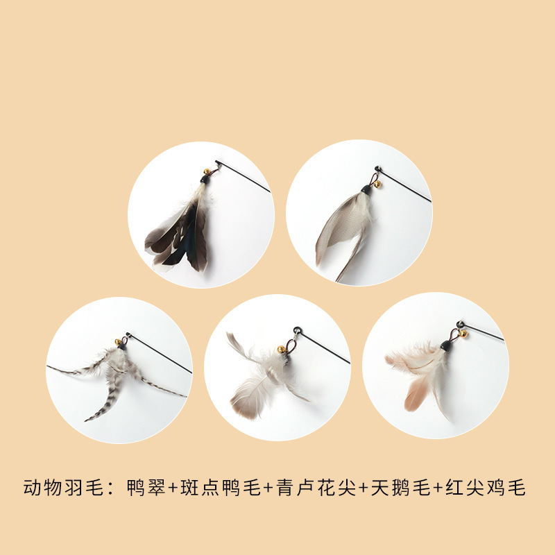 CFA試合級の猫をからかう棒の木の柄は猫のおもちゃの羽の子猫をかむことに耐えます。|undefined