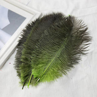 ���l25-30cmֱȾ�Gɫ�r�B��ë��̨�ݳ���ë���b�o��DIY�Ʒ�b�