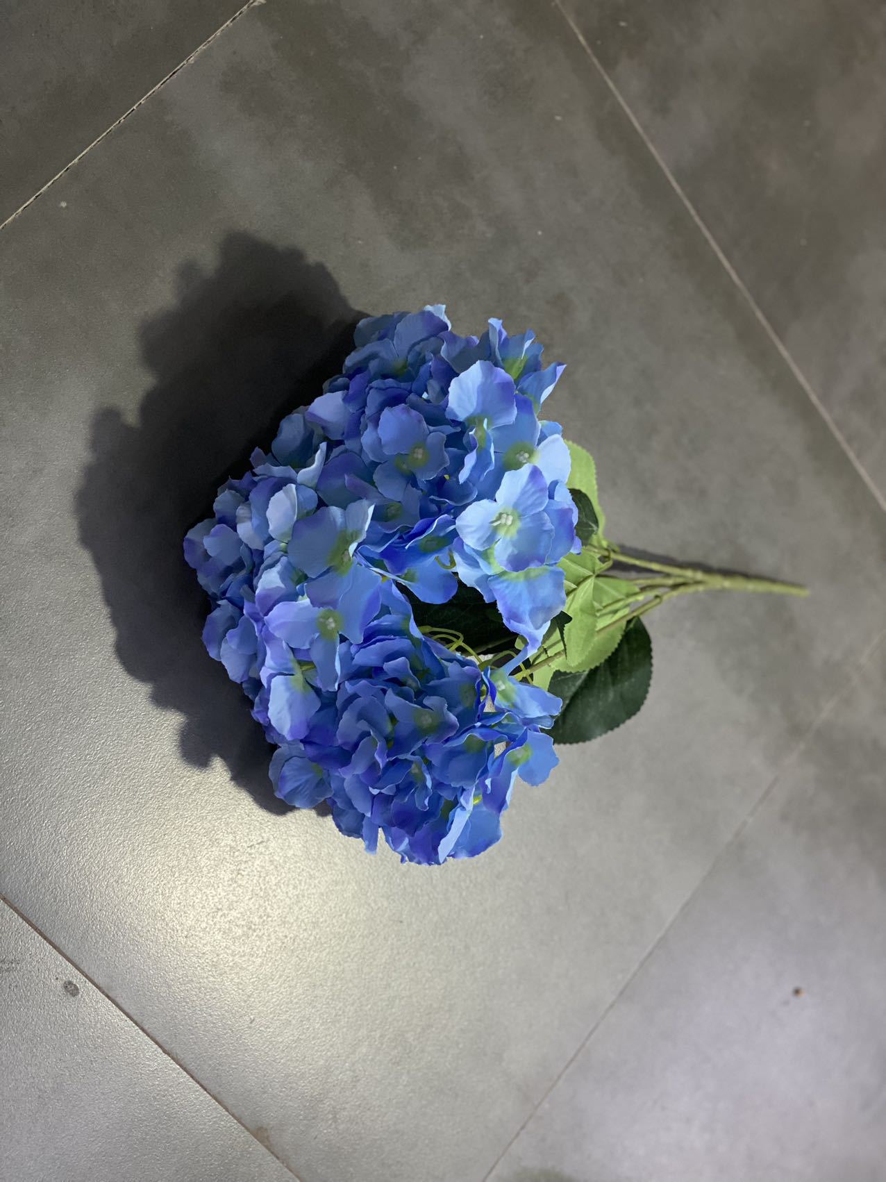 블루 2