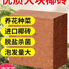 ��KҬ�u�I�B���N��Ҭ��Ҭ�u��9��Ó�}��Ҭ��Ҭ�����l�B��ͨ����