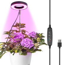 ֲ�����L��ȫ���Vled��̫ꖟ����rusb���ܶ���ʳ�x�҃���Ʒ�a���