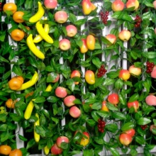 ˮ���ٗlֲ���������ϻ��پGֲ�r�Ҙ�ˮ�������bٻ��ڒ�