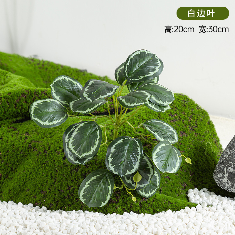 Simulación de plantación y paisajismo verde, materiales de distribución pequeños de todo uso, materiales auxiliares, arreglos florales, helechos, césped falso, decoración de plantas pequeñas, decoración de paisaje image 16
