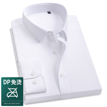DP�������̳�����ʿ���䴿ɫ�������ְҵ�ϰ������½������޳���