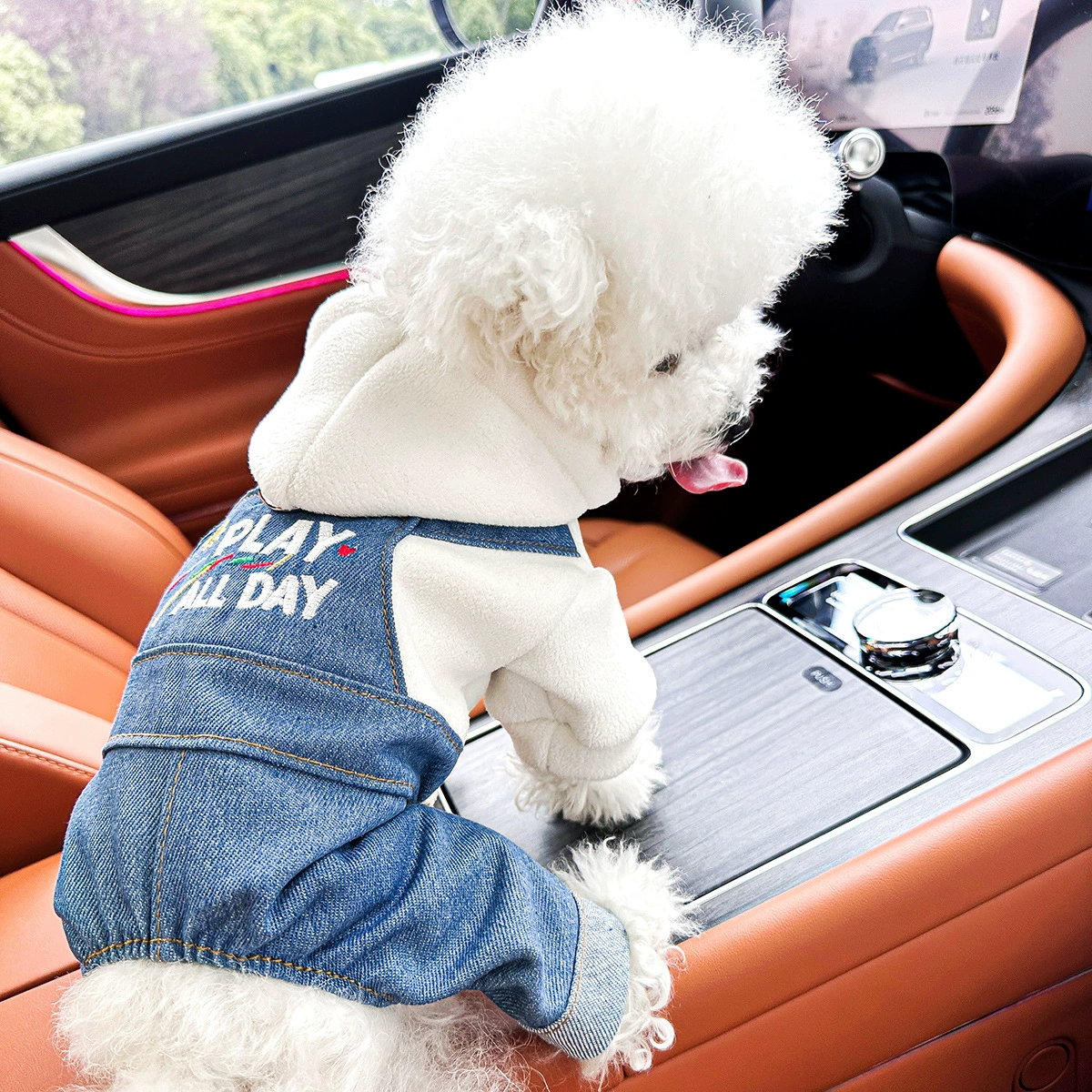 В наличии: популярная трансграничная одежда для щенков и кошек, напрямую с фабрики, весенне-осенние комбинезоны в стиле «дикого ребенка».