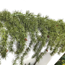 ����ֲ��Gֲ�Ҿ��k���ҾGɫ�[� ���ϻ�����ֲ���b�Ʒ�S��ֱ�N