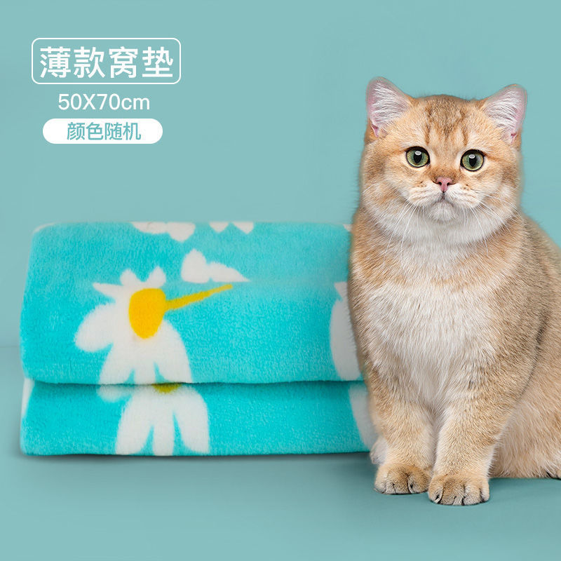 담요 a (색상 랜덤)