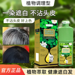 BUBBLE 外国貿易人気商品 500ML 北柔植物染毛剤 グリーン素材 ノンスティックヘッドスキン染毛剤バッチ
