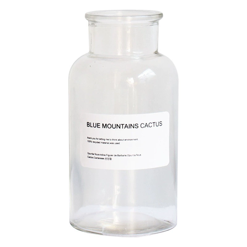 [Очаровательный мастер] Прозрачная ваза в скандинавском стиле, ретро-дизайн, цветочная композиция, гидропонная декоративная наклейка, джутовая веревка, коричневый цвет, стиль ins.