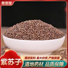 批发紫苏子苏籽 紫苏 炒苏籽 中药材紫苏子 炒紫苏子紫苏叶紫苏梗