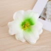 【White Green】