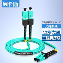 �W��˹��AUCAS�����w����LC-LC��ģ��оUPC��ż�LC-SC�͟��o�u��