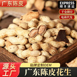 陈皮味花生散装休闲即食香脆味江门侨乡特产带壳花生零食厂家批发