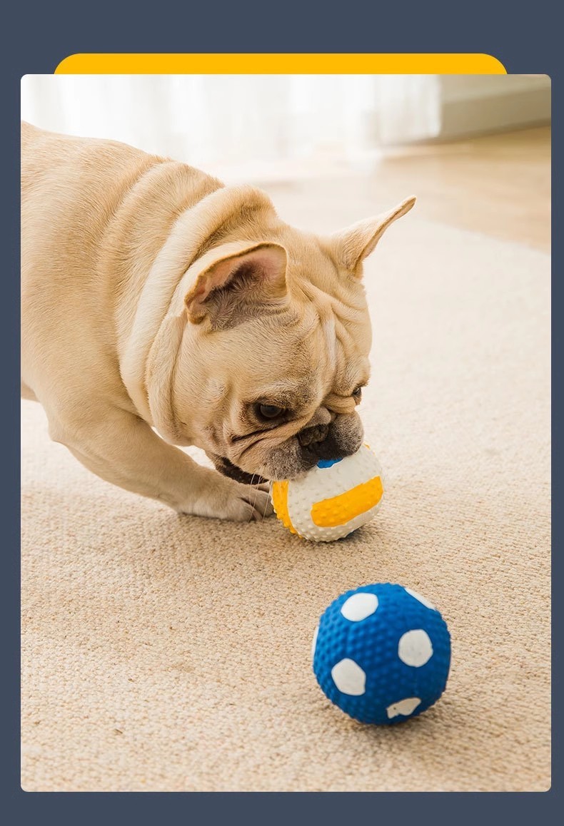 916c9266-4edd-4d2b-9c2e-45f942c2eec2.jpe