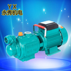 家庭用ステンレス鋼 JET 自吸式噴射ポンプ 220V 大流量自吸式ポンプ高リフト噴射加圧水ポンプ