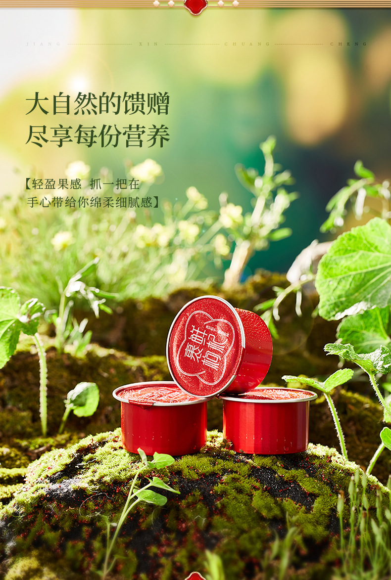 Ning'anbao Freeze-Dried Goji Berry Gift Box Ningxia Goji Gou Qi Zi 240g Ready to Eat quality and texture