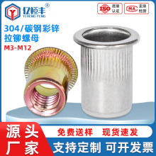 ����304���P䓝L�����T��ĸƽ�^�T��ĸ��ñ僲��\��ĸM4/M5/M6