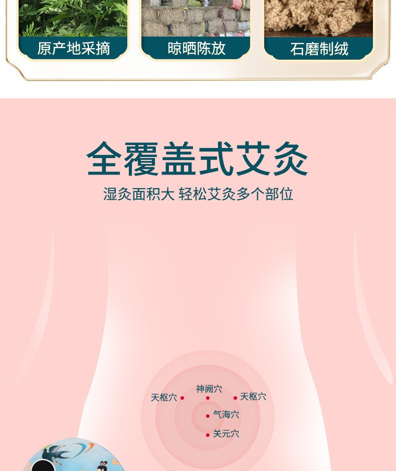 Electric Moxa Heat Pack Ai Jiu Bao Warming Compress Belt for Waist and Abdomen 9-Level Timer 220V key features