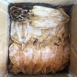 鱿鱼干  干鱿鱼 鱼干  水产海鲜干货