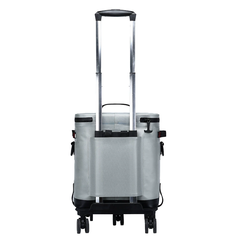 Suitcase, capacious universal cooler bag, removable picnic bag