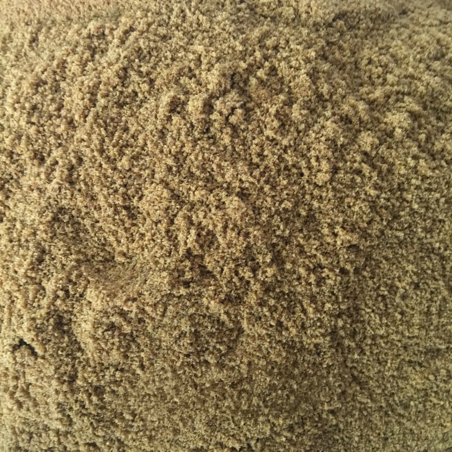 3419020219_1242178485_副本