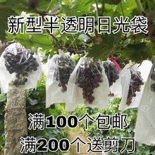 半透明袋子葡萄套袋袋莲雾保护防虫雨防鸟包果袋纸袋透气水果
