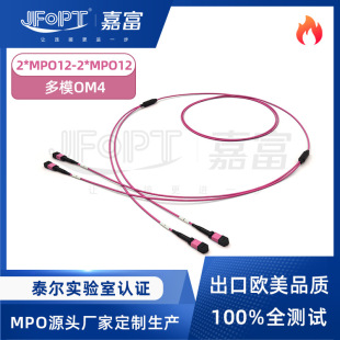 24оMPO��֧����OM4��ģ2MPO-12�D2MPO-12 100G/400G�f�׵͓p��