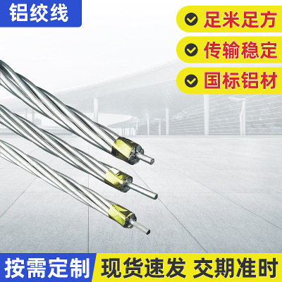 Оптовое открытое украшение алюминиевого скрученного Electric Cable Steel Core Engineering