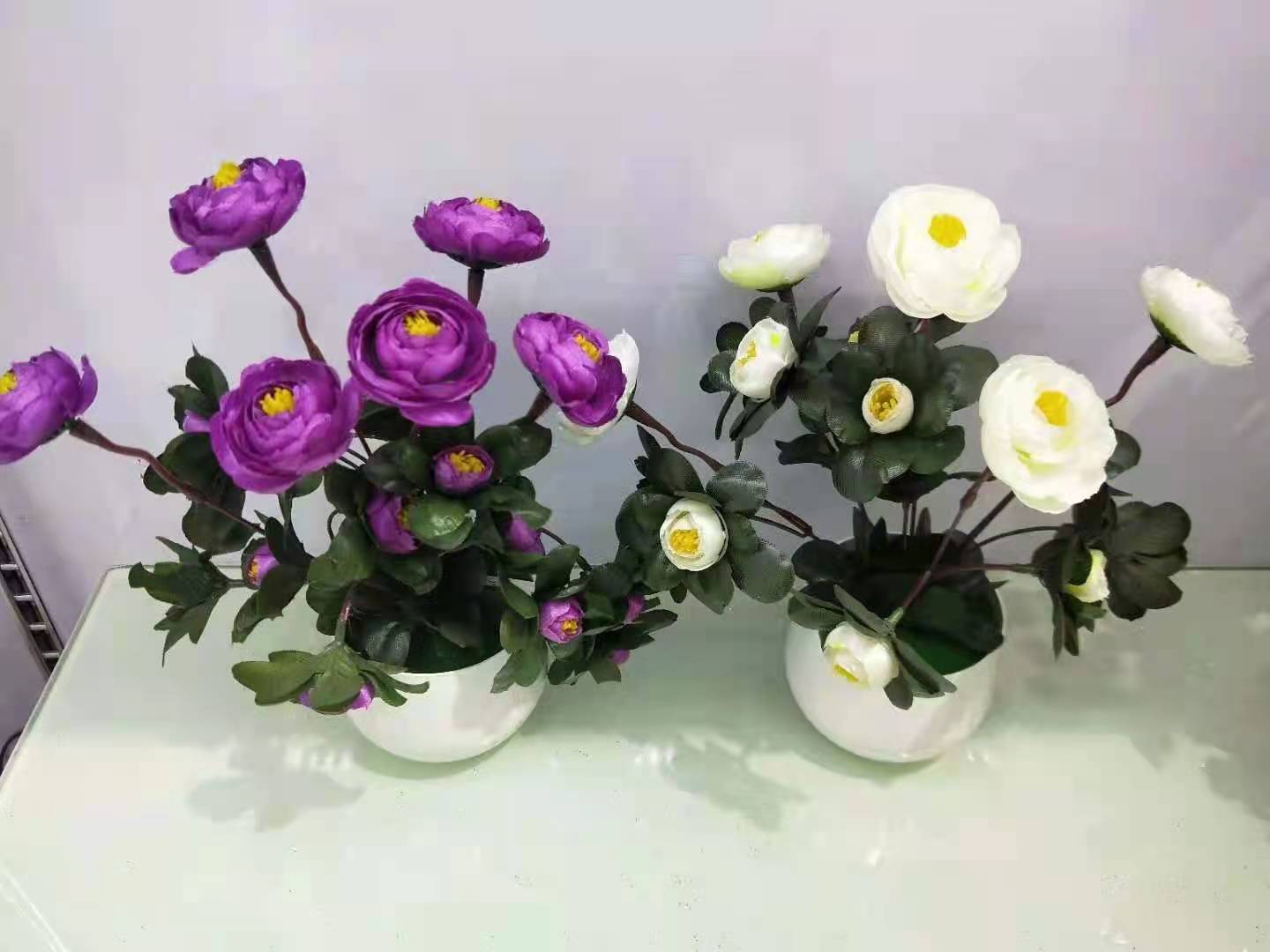 d2c6c9c53438617f8a312108d53bde