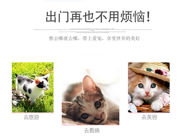 新款宠物猫包外出便携狗包透气纯色双肩宠物背包手提大容量太空包详情5