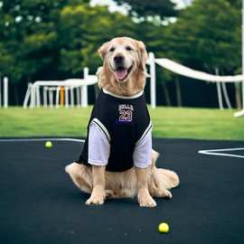 狗狗衣服大型犬薄款金毛拉布拉多杜宾假两件球服大狗衣服夏季衣服