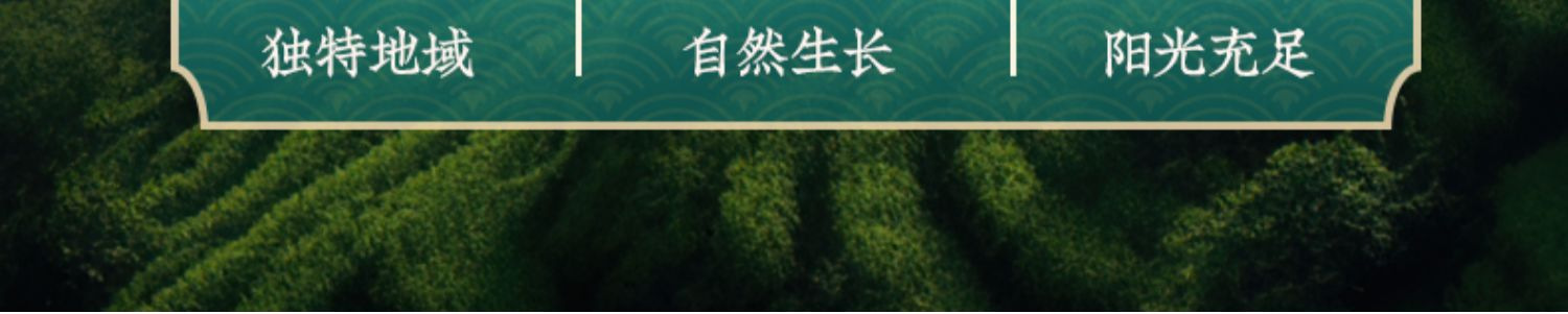 Dried Horsetail Herb Mu Zei Cao Cut Stems Traditional Herbal Tea 500g quality and texture