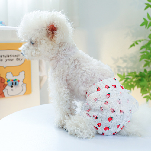 Pet Dog Menstrual Pants Cute Skirt Lace Pants Teddy Sanitary Pants Strawberry Blue Crushed Flower Menstrual Pants