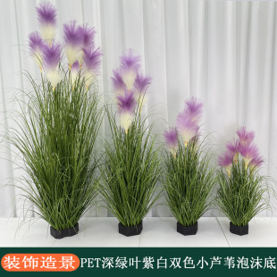 �W�tͬ����ɫ������ĭ���JȔ�������b��쾰��������ɫ���JȔ�辰