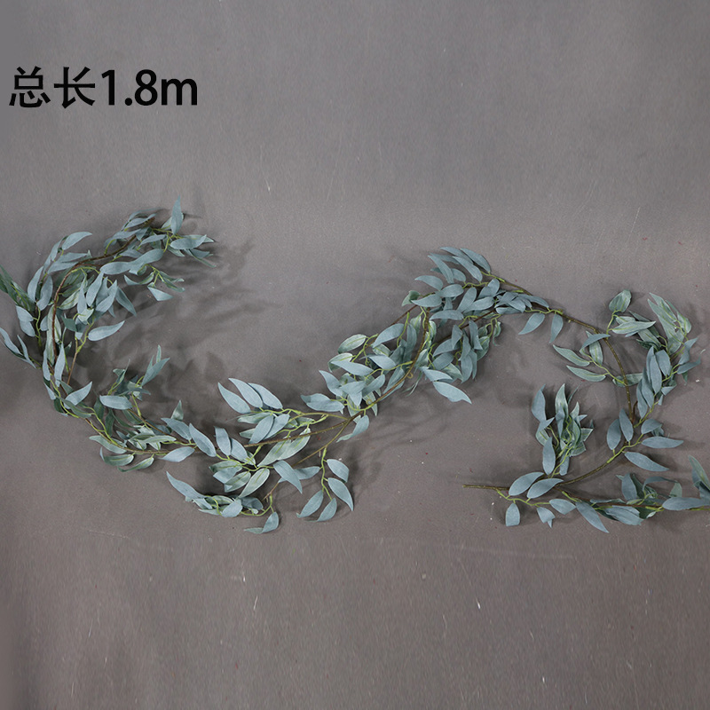 Tira larga verde gris de la hoja del sauce_1