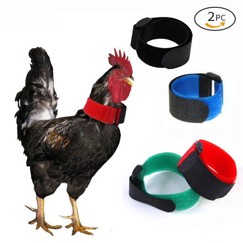 Cross-border new pet chicken collar 2-pack anti-rooster crowing no hook neck strap Christmas collar accessory