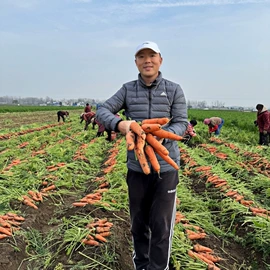 保健器具配件;艾灸/艾草/艾条/艾制品;经络保健器材