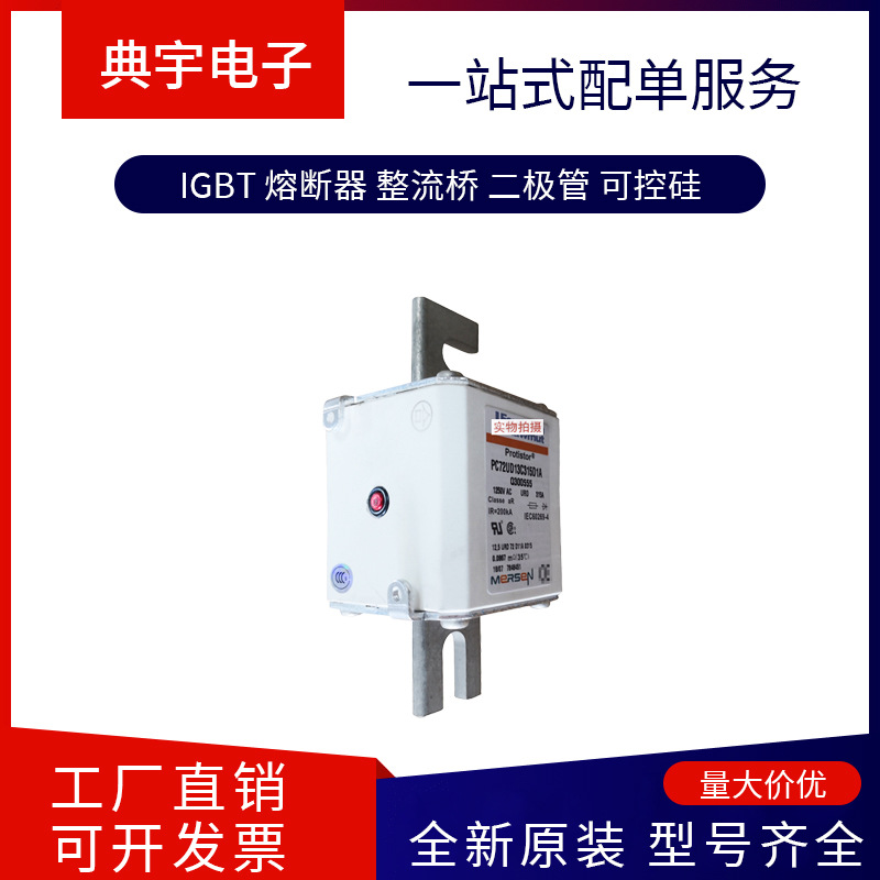 法国熔断器FR14AM69V1 FR14AM69V2 FR14AM69V4