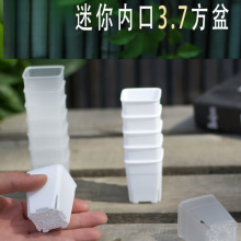3.7c m迷你多肉塑料方盆拇指控根肉锥生石花盆育苗播种整理浸水盘