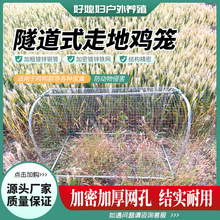 ����ʽ�ߵ��u�\ɢ�B�����r���������_�u�\��ͥԺ�����F�W�u�\�û\