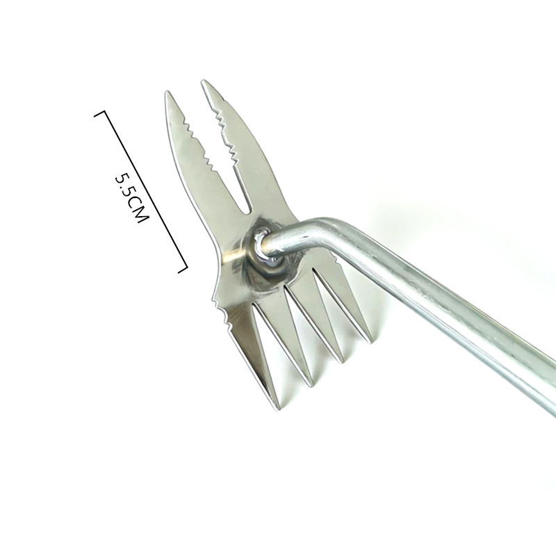 IMG_2798_wps图片_副本_副本_副本