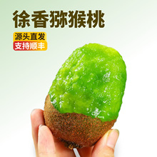 正宗徐香猕猴桃 2025当季新鲜采摘多汁精选水果整箱包邮