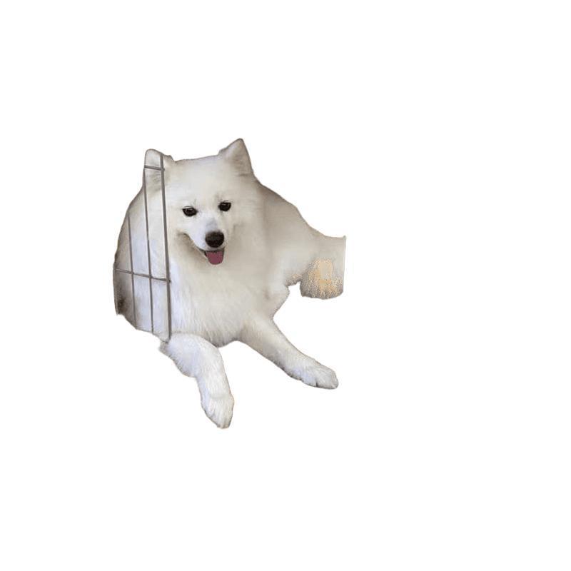 木製犬ケージ屋内犬ヴィラ中小型猫犬小屋スチール木製犬小屋フェンスフェンスペット用品卸売|undefined